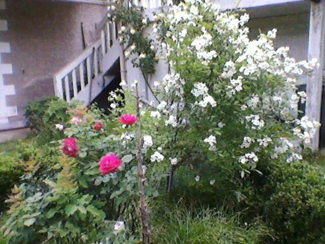 Périgueux Un Paradis De Verdure En Plein Centre Ville מראה חיצוני תמונה