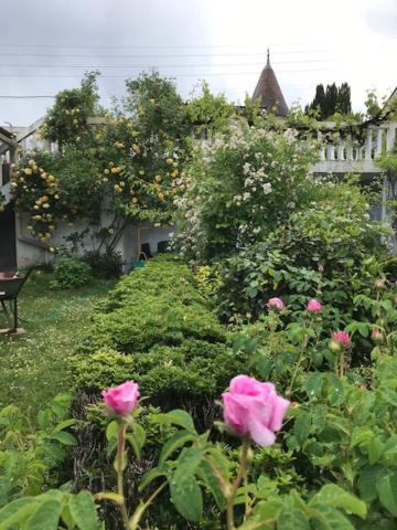 Périgueux Un Paradis De Verdure En Plein Centre Ville מראה חיצוני תמונה